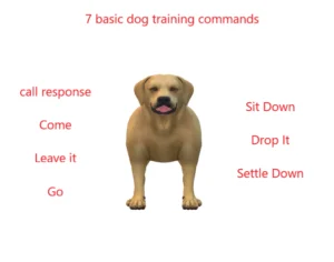 Basic Training for a Dog |7 Basic dog training commands.