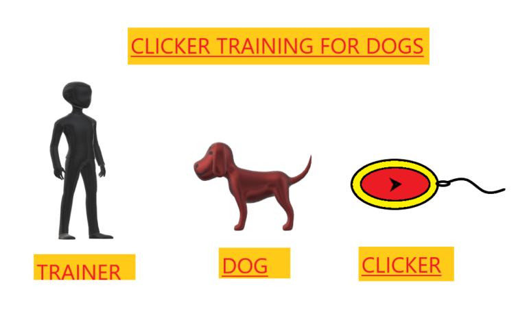 Clicker Training for Dogs