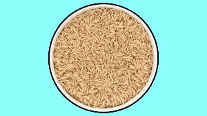 brown rice for dogs