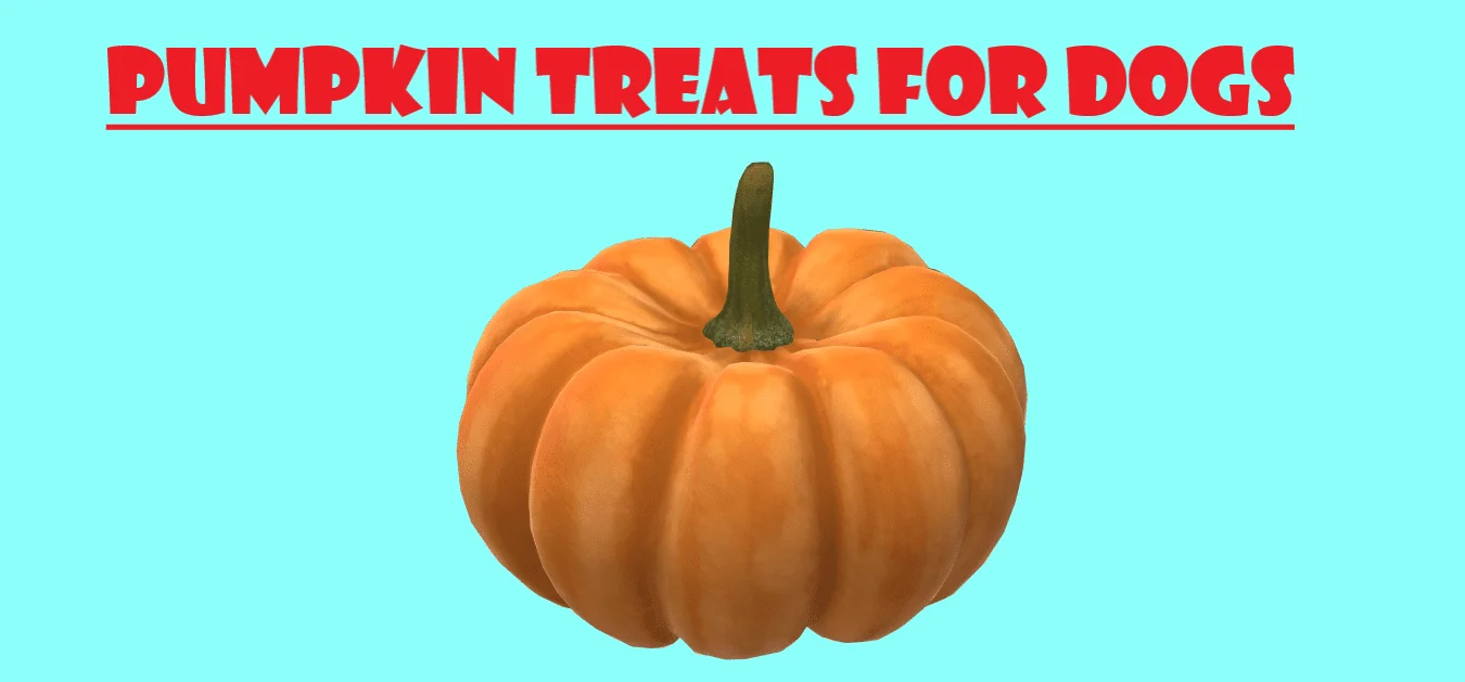 pumpkin treats for dogs