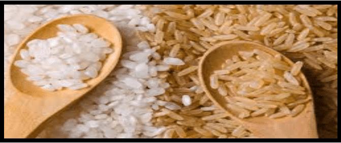 which is better white or brown rice for dogs