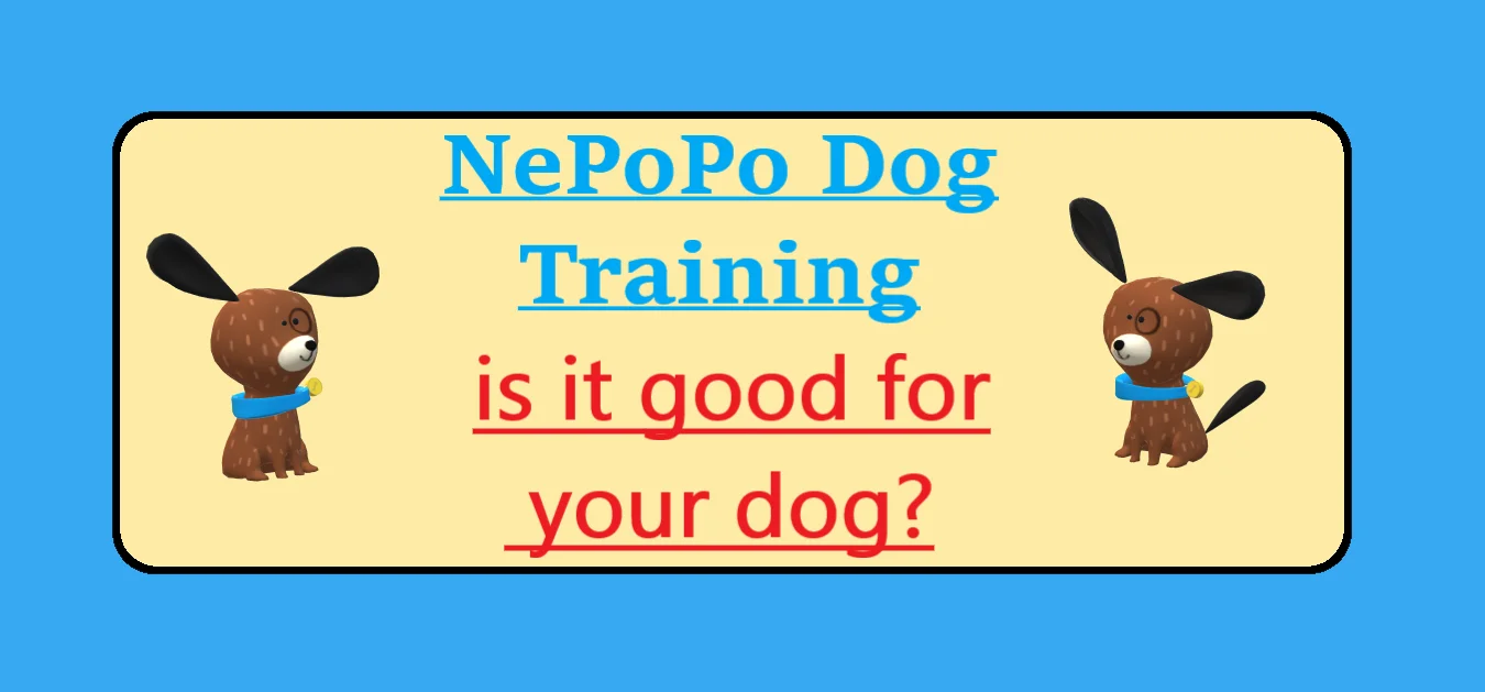 NePoPo dog training