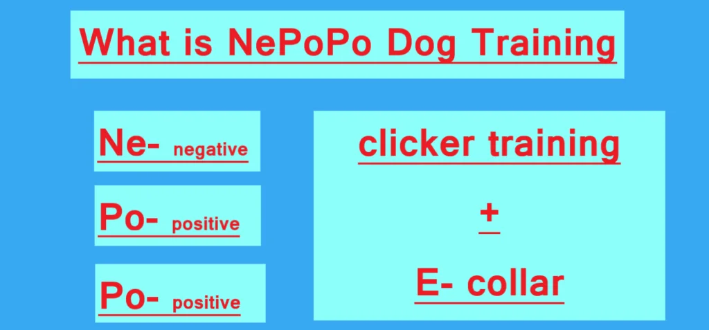 what is NePoPo Dog Training?