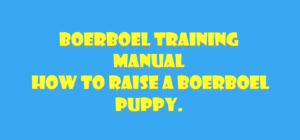 Boerboel Training Manual| how to raise a boerboel puppy.