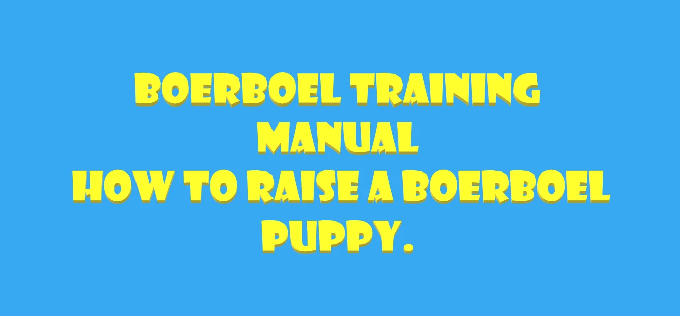 Boerboel Training Manual| how to raise a boerboel puppy.