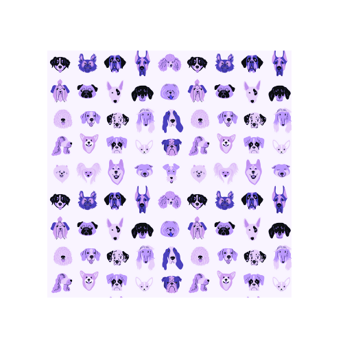 Dog Breed Selector Tool