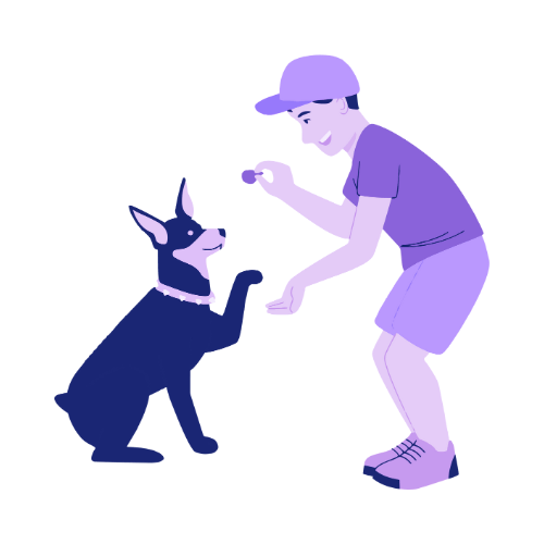Dog training