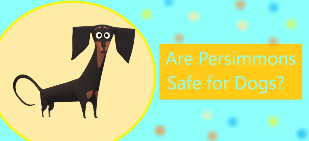 Are Persimmons Safe for Dogs |