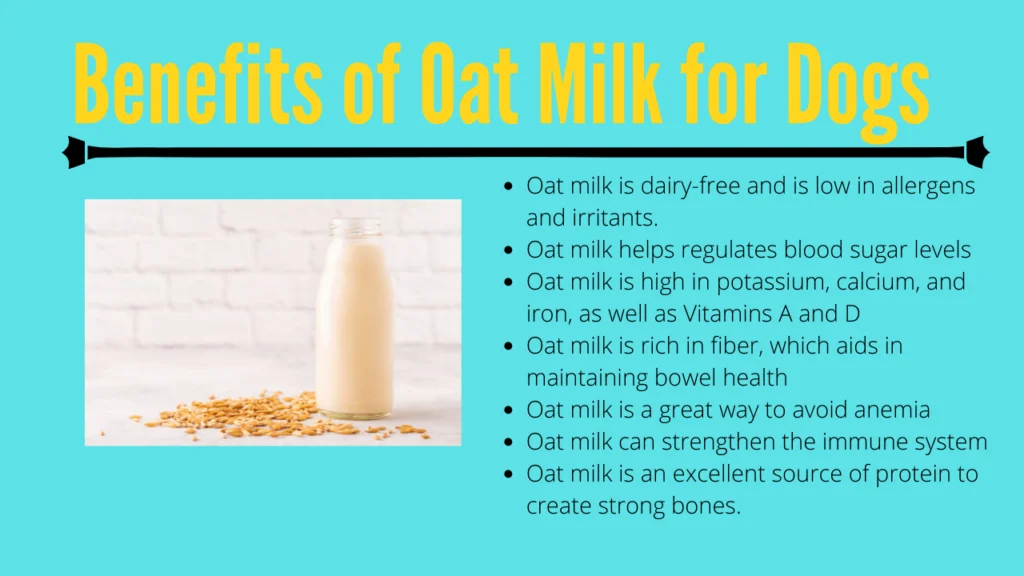 Benefits of Oat Milk for Dogs |