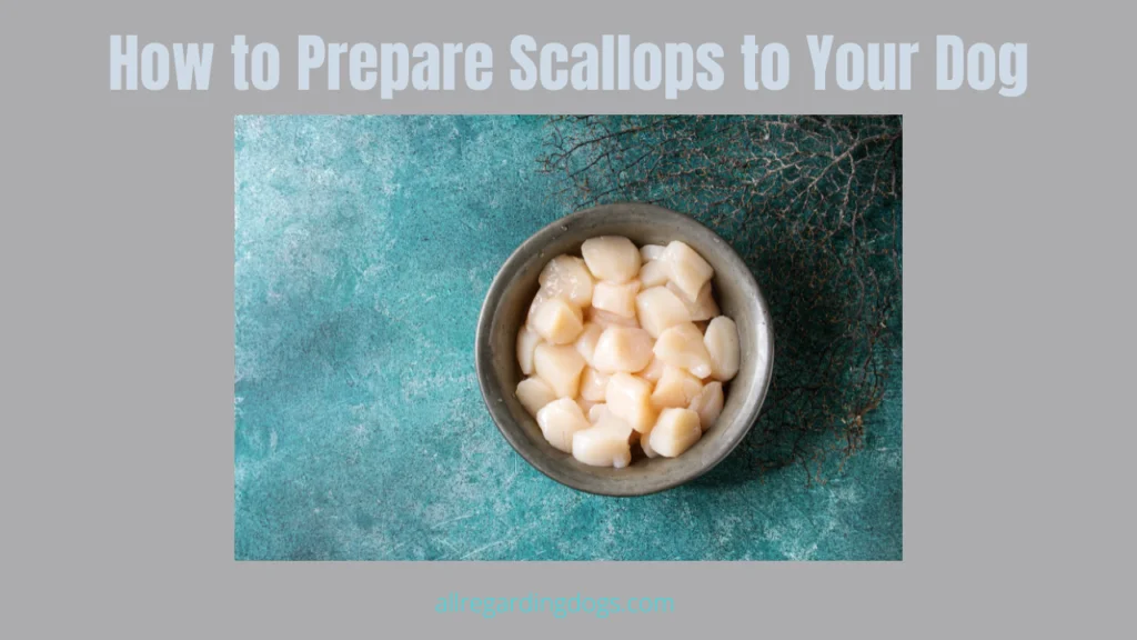 How to Prepare Scallops to Your Dog |