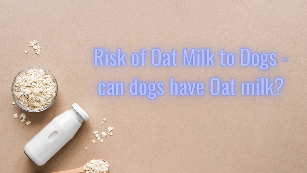 Risk of Oat Milk to Dogs can dogs have Oat milk |