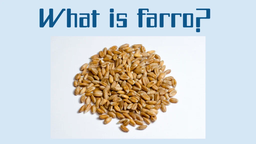 what is farro |