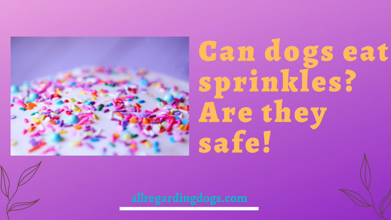 are sprinkles safe for dogs