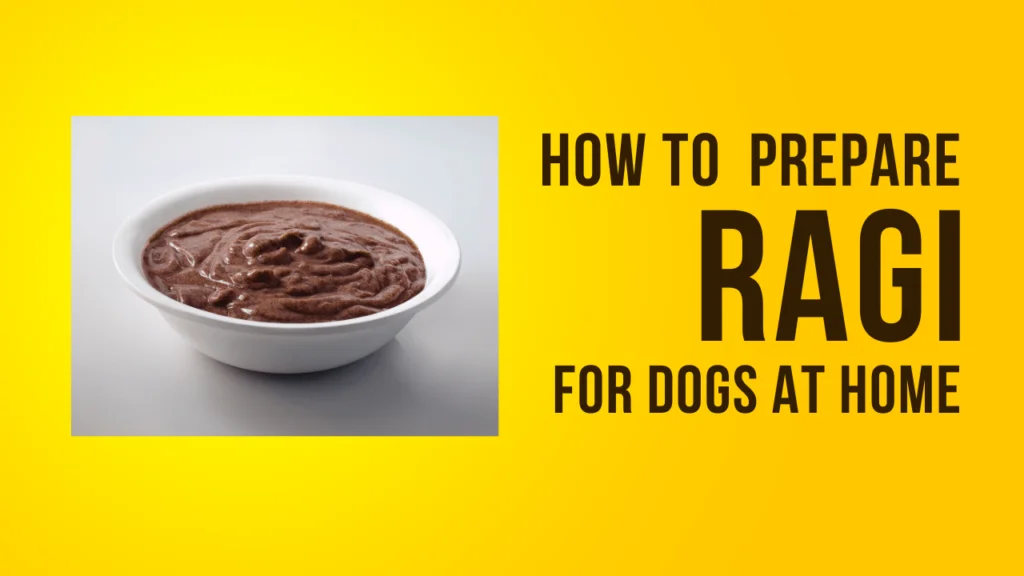 how to prepare ragi for dogs
