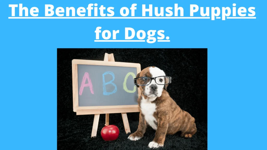 Can Dogs eat Hush Puppies 2 |