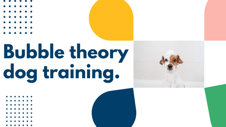 Bubble theory dog training