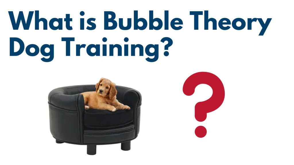 What is the Bubble Theory Dog Training?