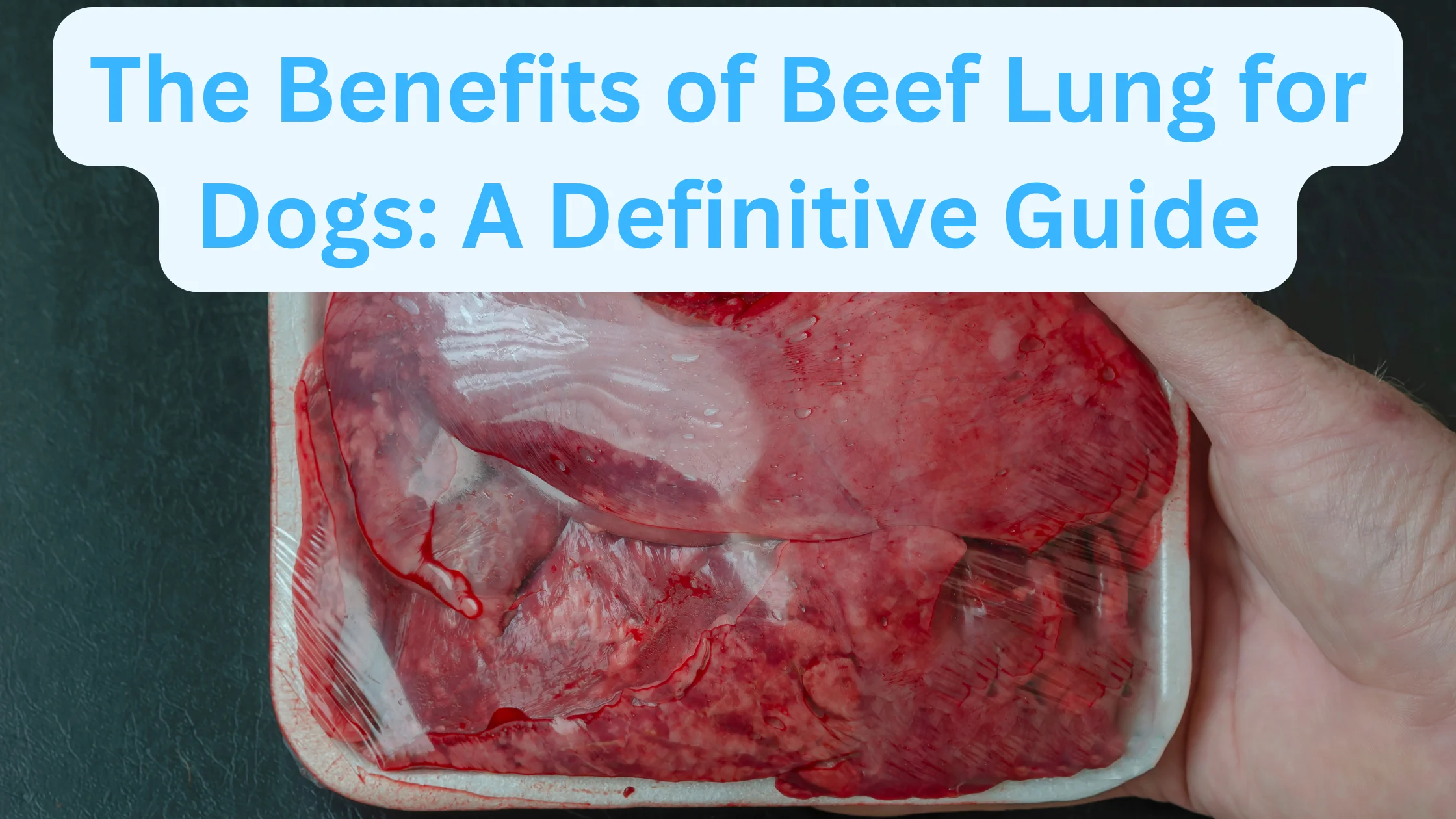 Beef Lung for Dogs