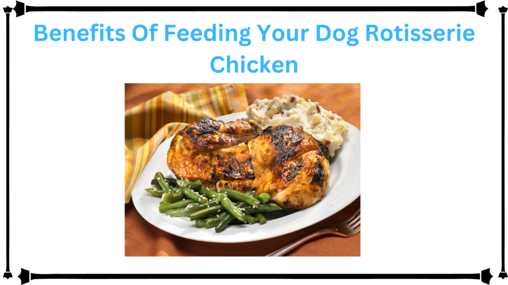 is rotisserie chicken okay for dogs