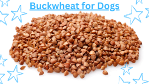 Buckwheat for Dogs