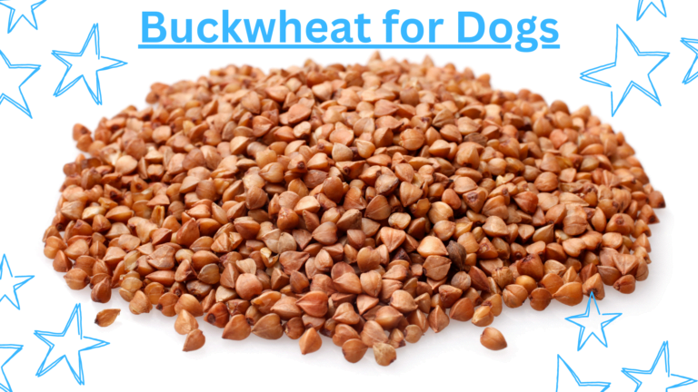 Buckwheat for Dogs