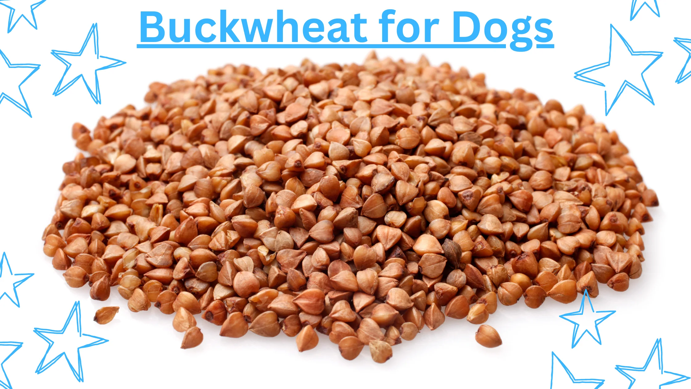 Buckwheat for Dogs