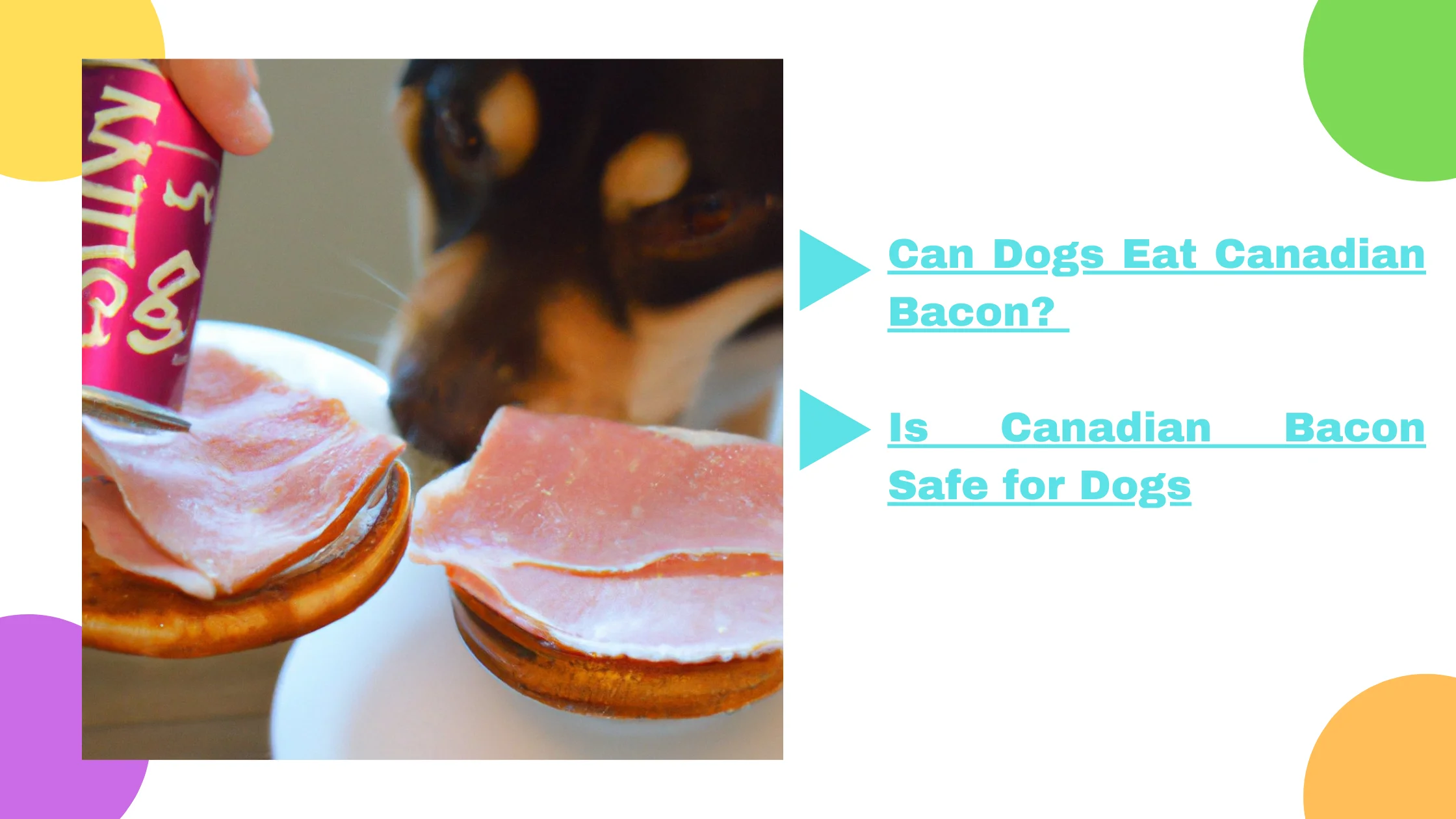 Can Dogs Eat Canadian Bacon