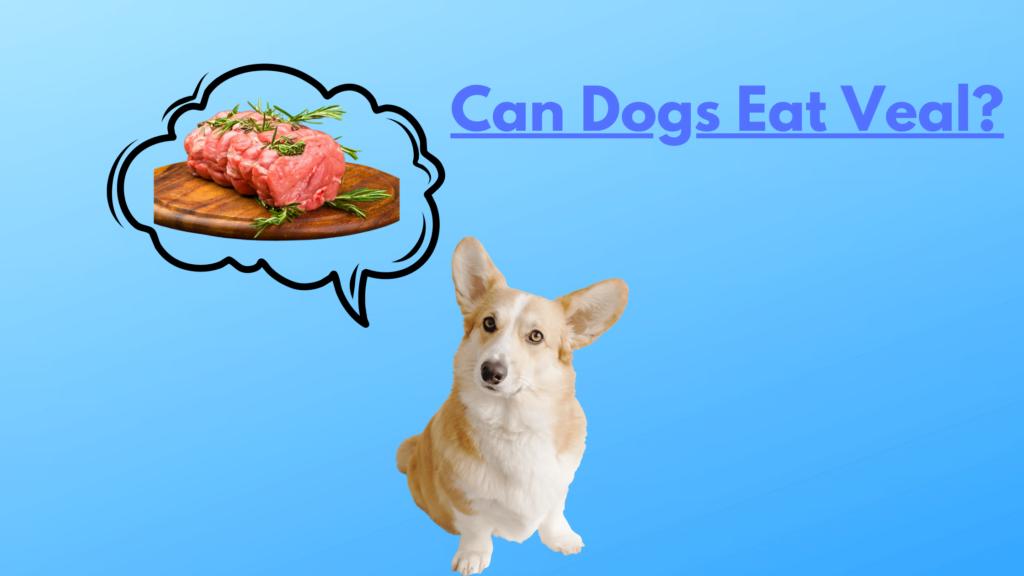 Can Dogs Eat Veal |