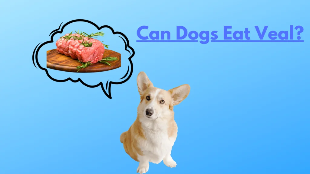 Can Dogs Eat Veal |
