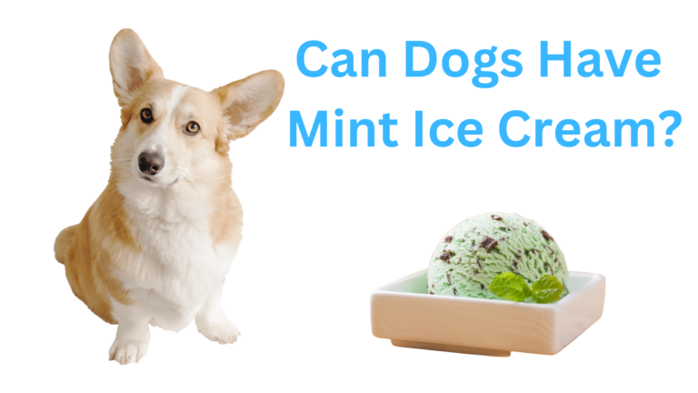 Can Dogs Have Mint Ice Cream?