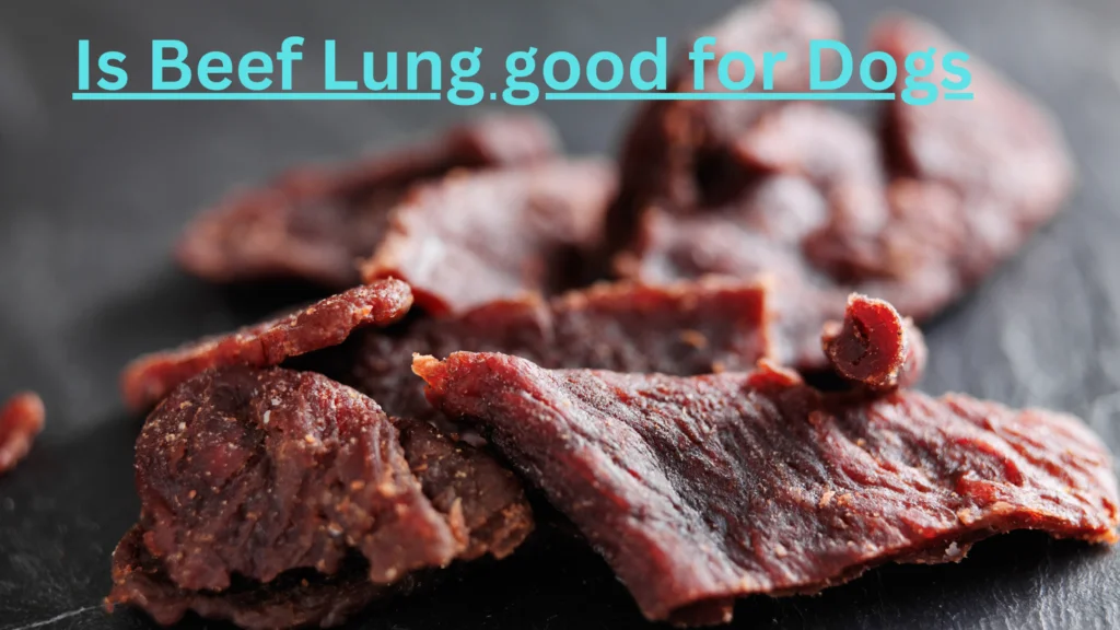 Is Beef Lung good for Dogs 1 |