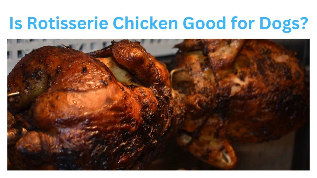 Is Rotisserie Chicken Good for Dogs |