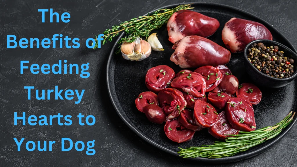 The Benefits of Feeding Turkey Hearts to Your Dog |