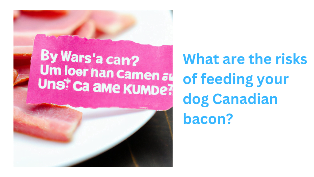 What are the risks of feeding your dog Canadian bacon |