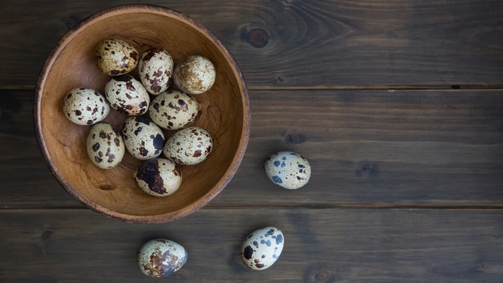 Are Quail Eggs good For Dogs 1 1 |