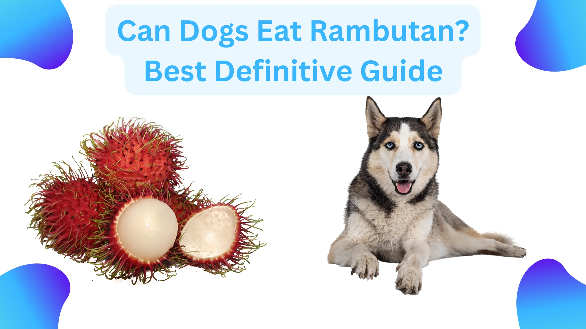can dogs eat rambutan