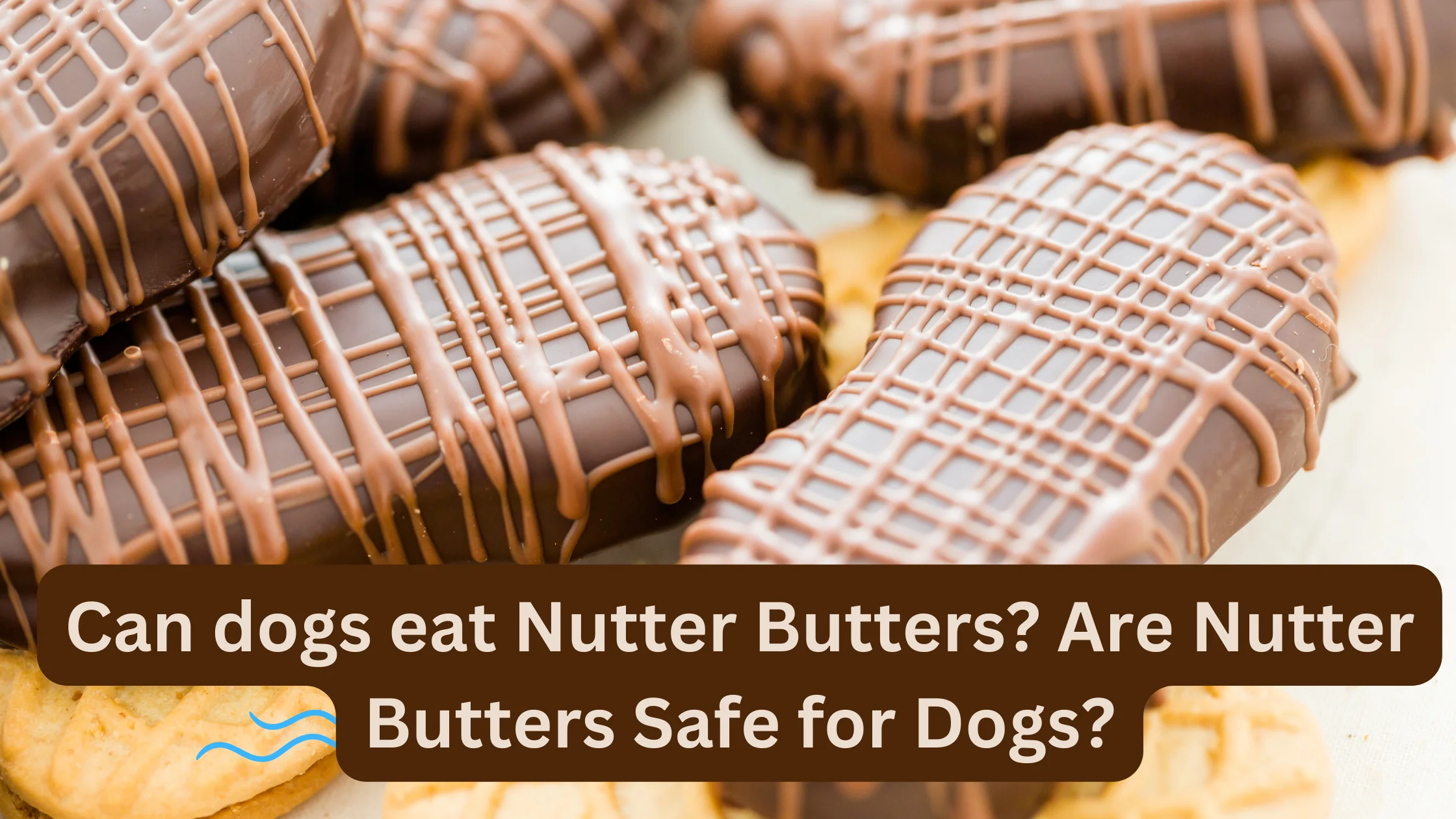 Can dogs eat Nutter Butter? Are Nutter Butters Safe for Dogs?