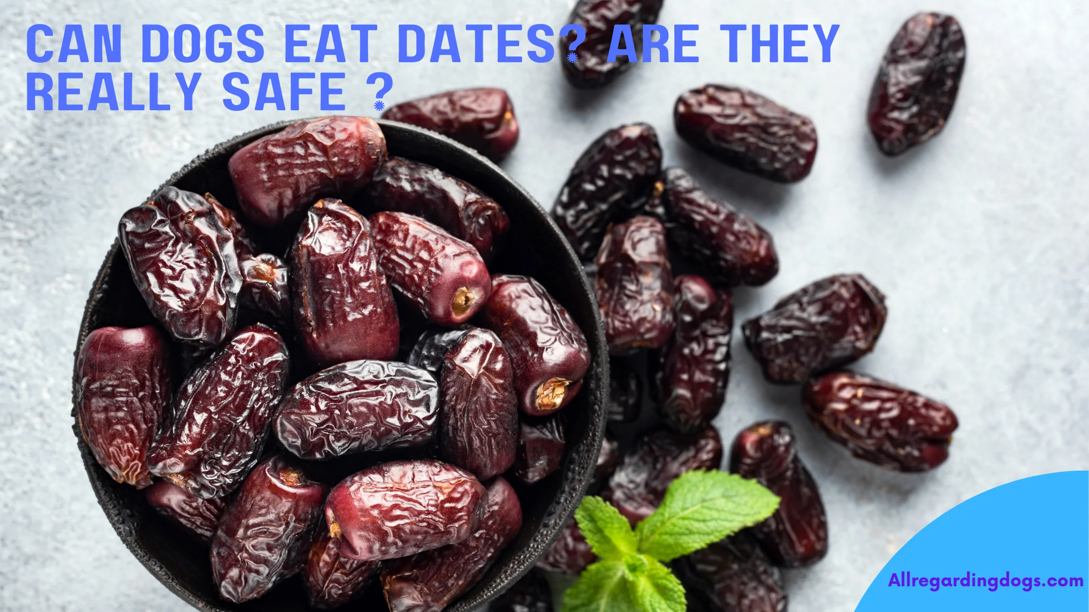 Can dogs eat dates? Are they really Safe ?