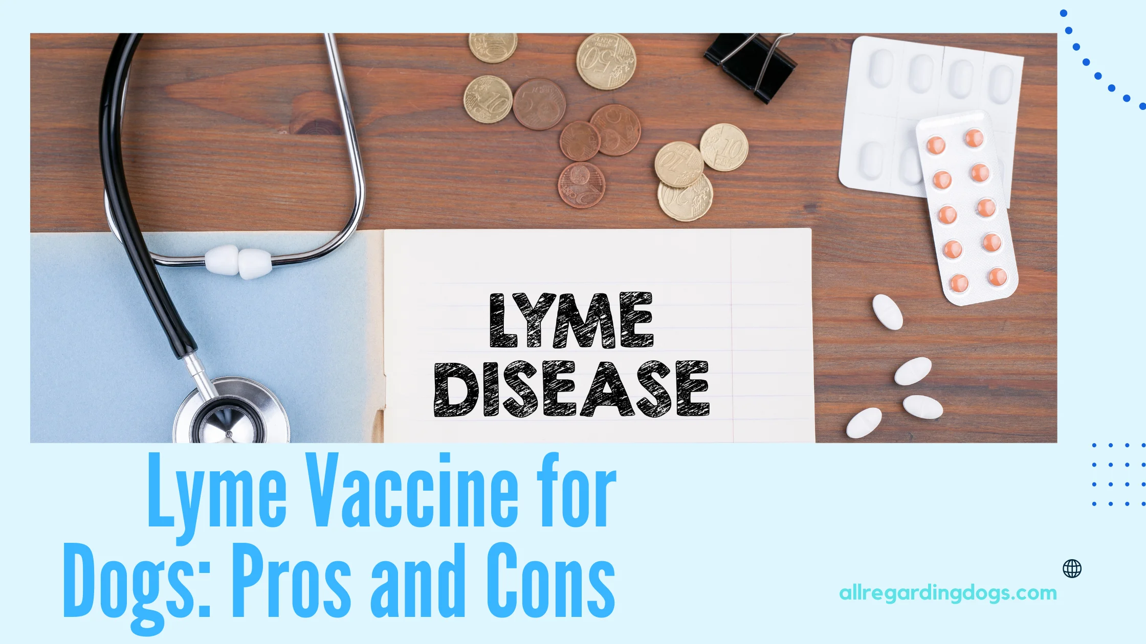 Lyme Vaccine for Dogs Pros and Cons