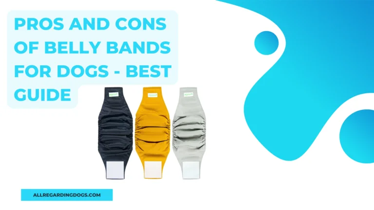 pros and cons of belly bands for dogs