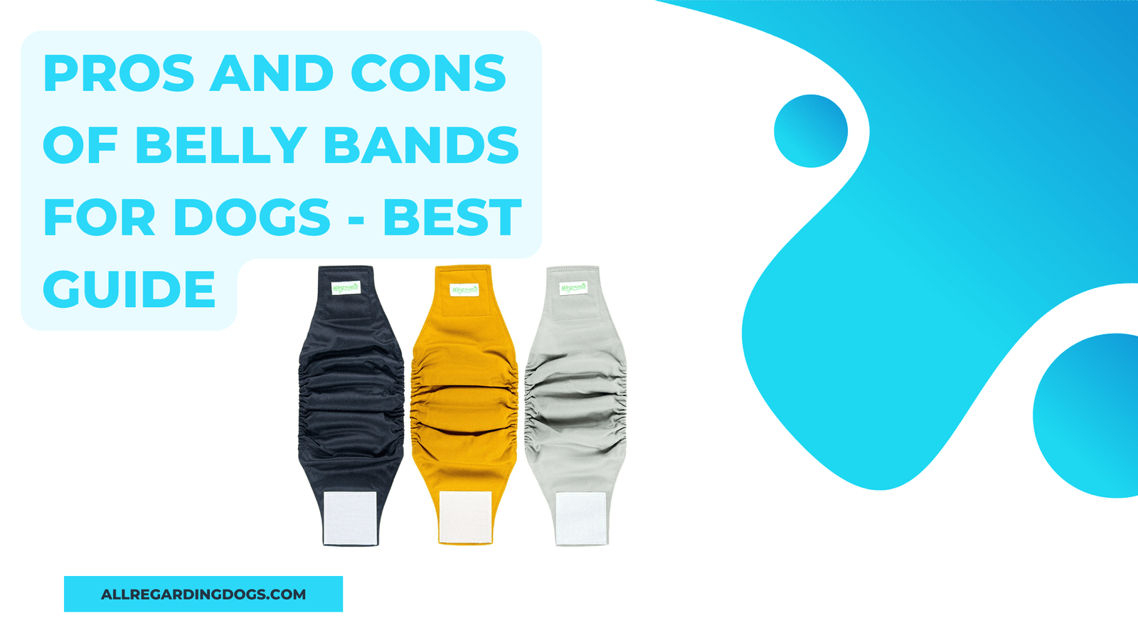 Pros And Cons Of Belly Bands For Dogs - Best Guide