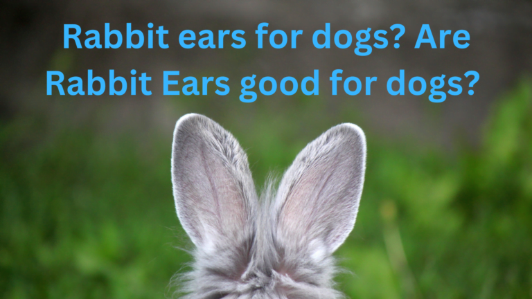 Rabbit ears for dogs