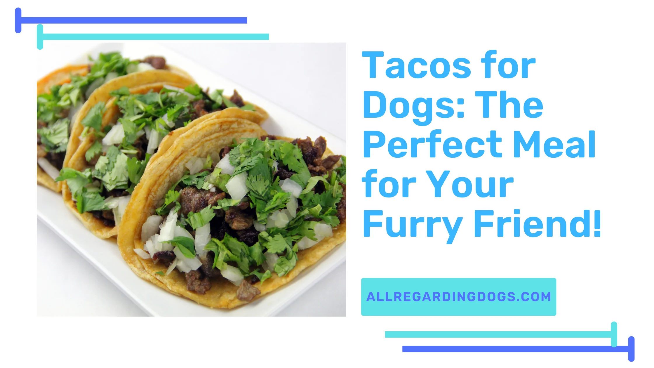 Tacos for Dogs