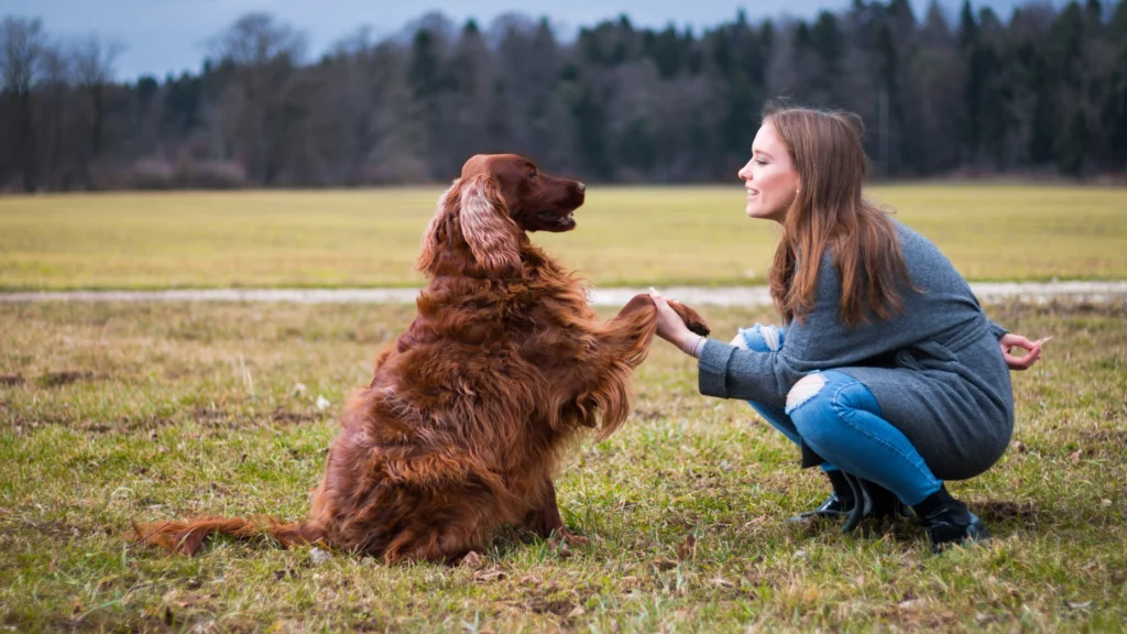 The Benefits of Dog Scents Training |