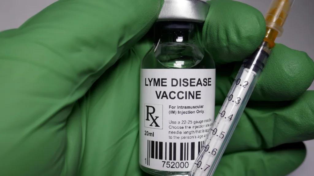 The Pros of Vaccinating Your Dog Against Lyme Disease
