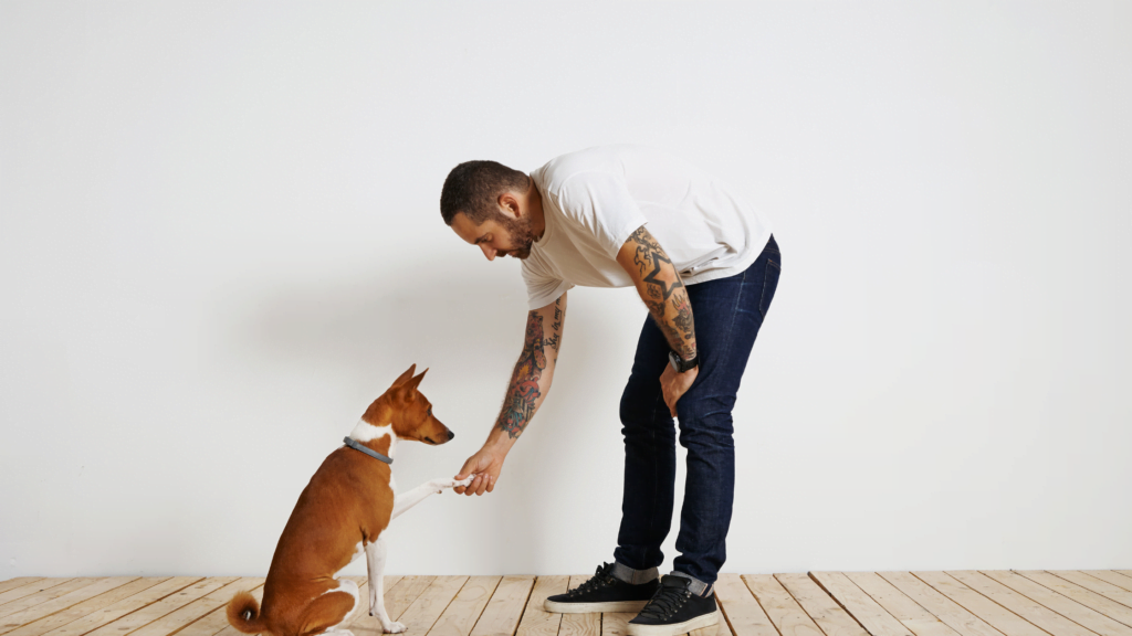 Tips and Tricks for Successful Dog Scents Training |