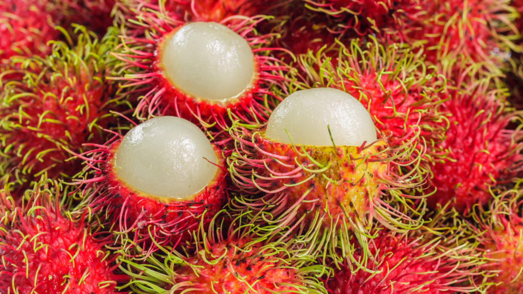 What is Rambutan |