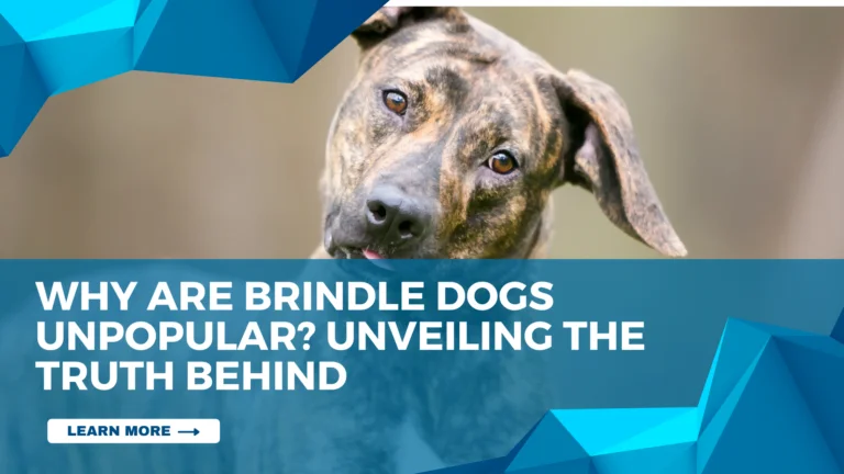 Why Are Brindle Dogs Unpopular? Unveiling the Truth Behind