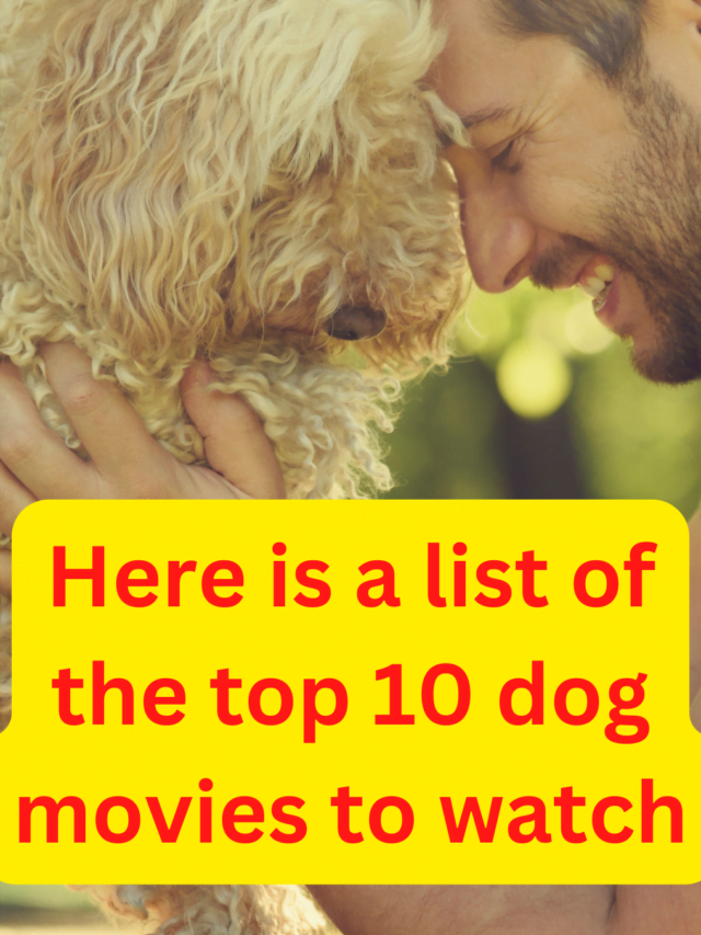 Top 10 MustSee Dog Movies For Every Dog Lover All Regarding Dogs