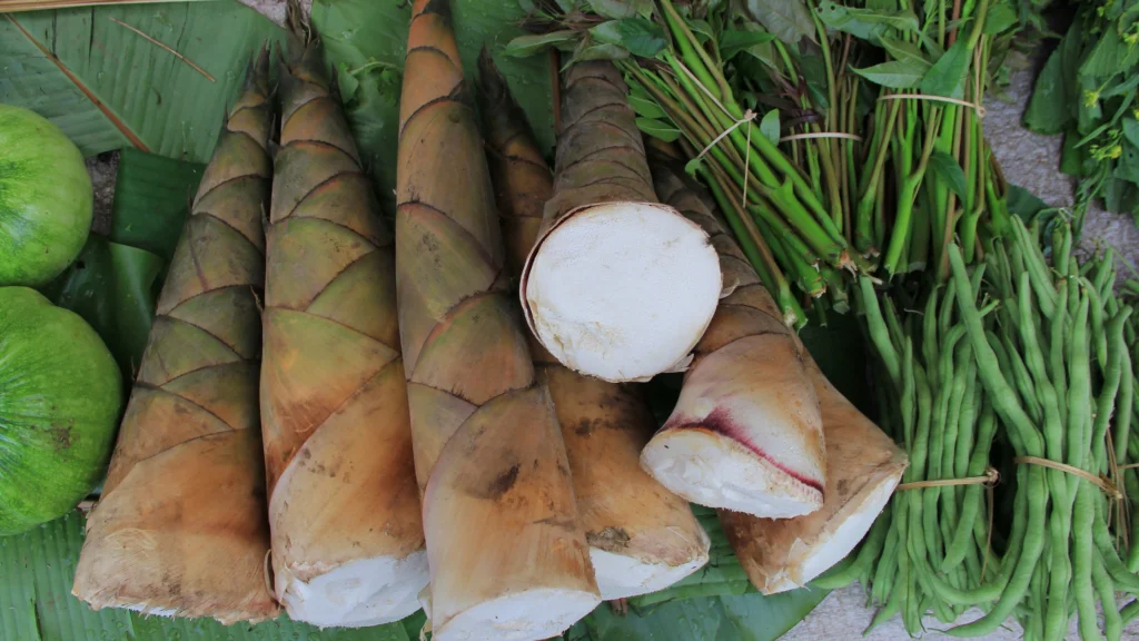 Are bamboo shoots safe for dogs |